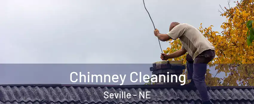 Chimney Cleaning Seville - NE