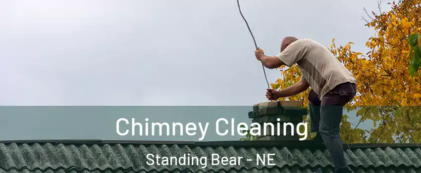 Chimney Cleaning Standing Bear - NE