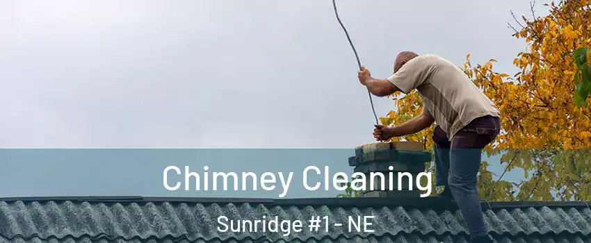 Chimney Cleaning Sunridge #1 - NE