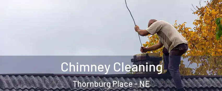 Chimney Cleaning Thornburg Place - NE