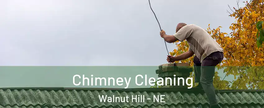 Chimney Cleaning Walnut Hill - NE