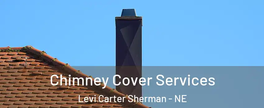 Chimney Cover Services Levi Carter Sherman - NE