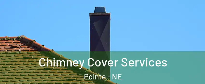 Chimney Cover Services Pointe - NE