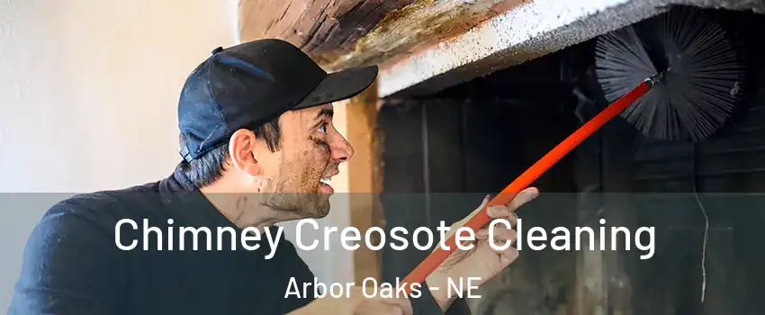 Chimney Creosote Cleaning Arbor Oaks - NE