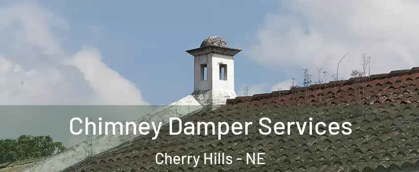 Chimney Damper Services Cherry Hills - NE