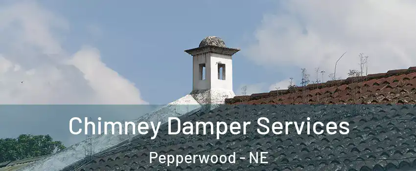 Chimney Damper Services Pepperwood - NE