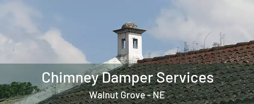 Chimney Damper Services Walnut Grove - NE