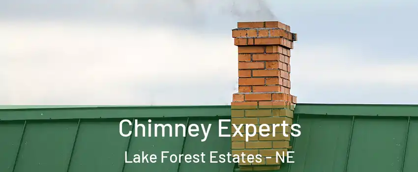 Chimney Experts Lake Forest Estates - NE