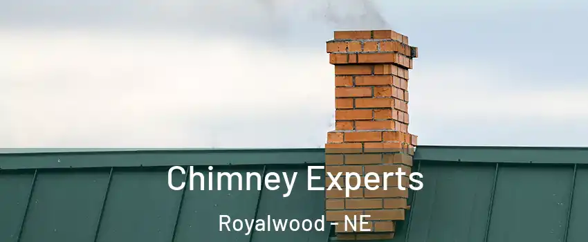 Chimney Experts Royalwood - NE