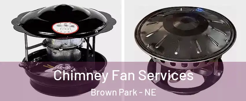 Chimney Fan Services Brown Park - NE