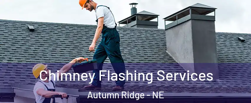 Chimney Flashing Services Autumn Ridge - NE