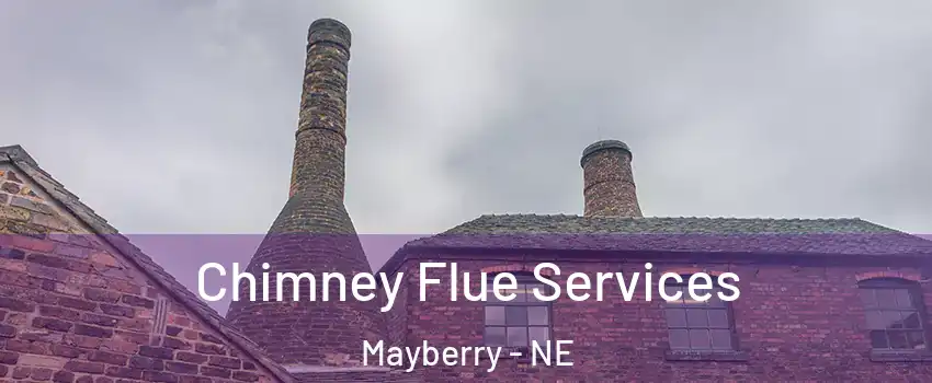 Chimney Flue Services Mayberry - NE