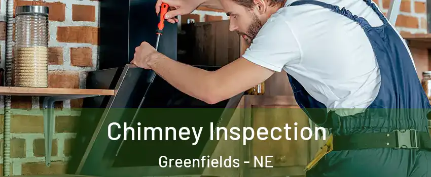 Chimney Inspection Greenfields - NE