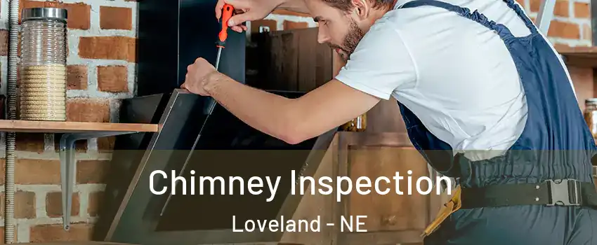 Chimney Inspection Loveland - NE