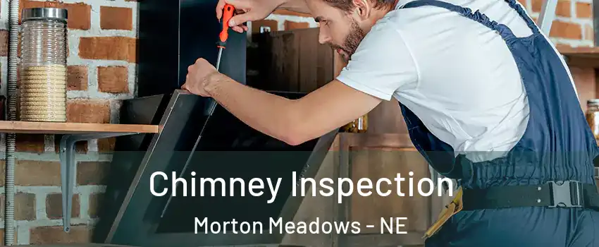 Chimney Inspection Morton Meadows - NE