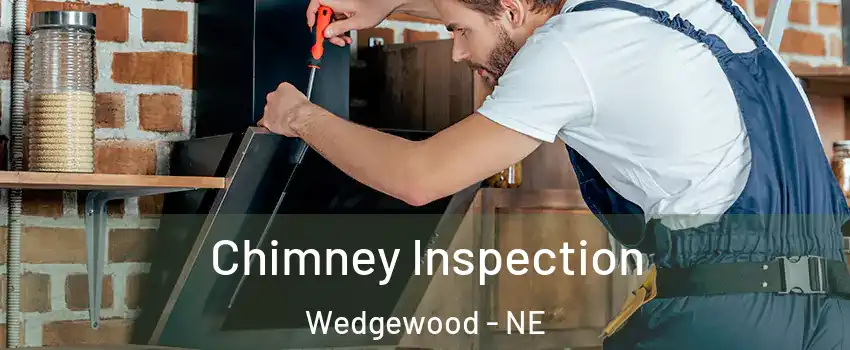 Chimney Inspection Wedgewood - NE