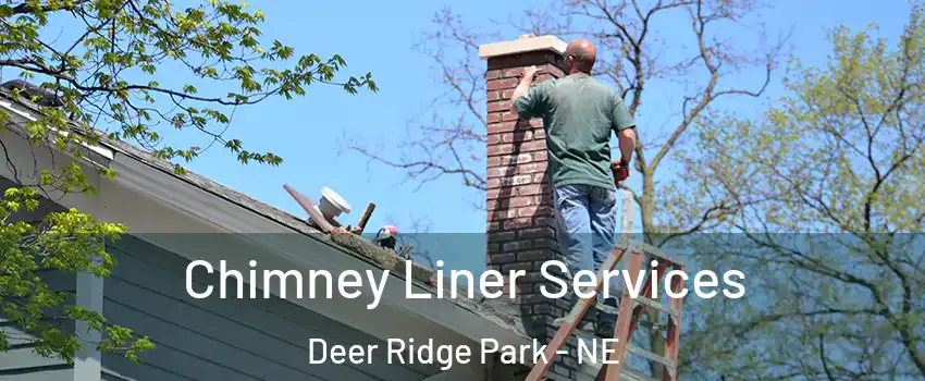 Chimney Liner Services Deer Ridge Park - NE