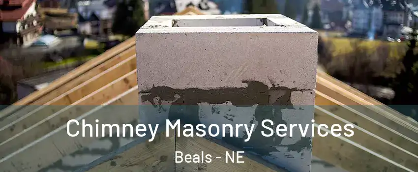 Chimney Masonry Services Beals - NE