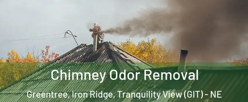 Chimney Odor Removal Greentree, Iron Ridge, Tranquility View (GIT) - NE