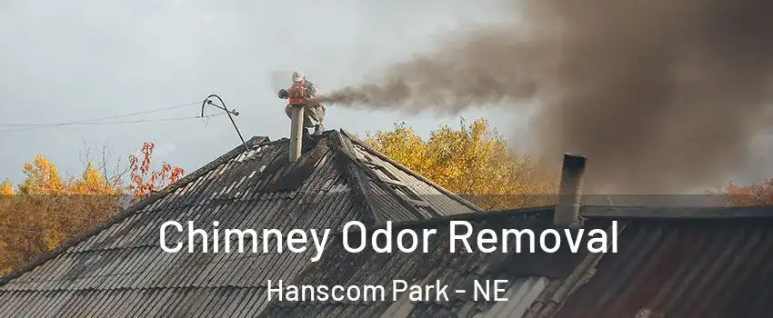 Chimney Odor Removal Hanscom Park - NE