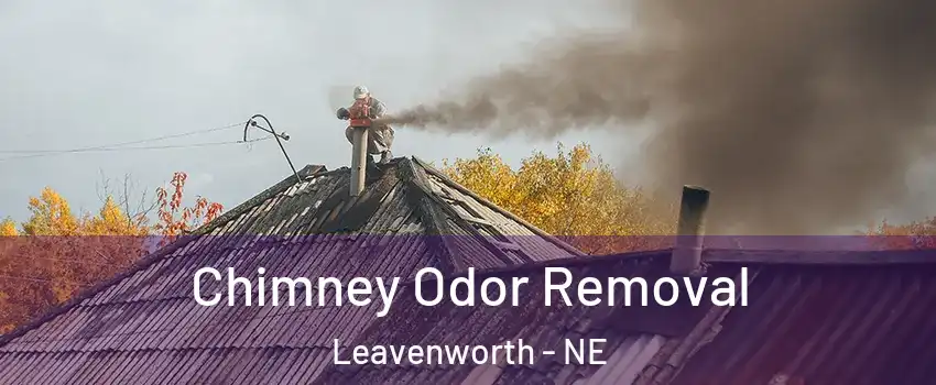 Chimney Odor Removal Leavenworth - NE