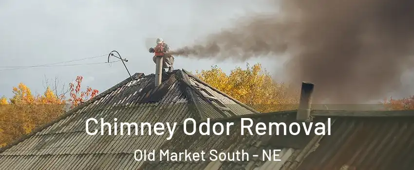 Chimney Odor Removal Old Market South - NE