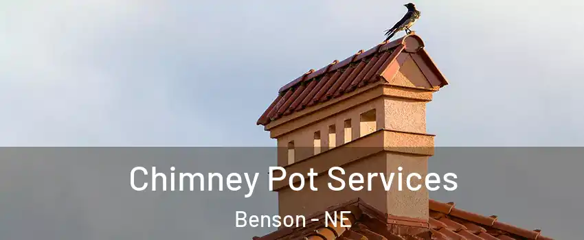 Chimney Pot Services Benson - NE