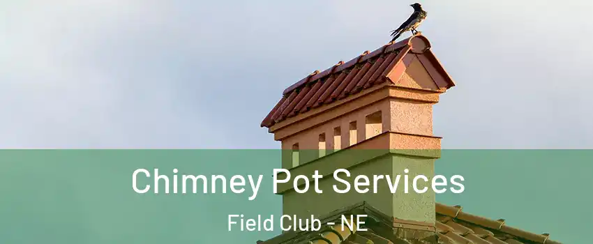 Chimney Pot Services Field Club - NE