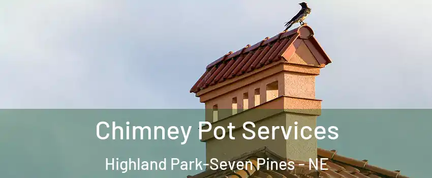 Chimney Pot Services Highland Park-Seven Pines - NE