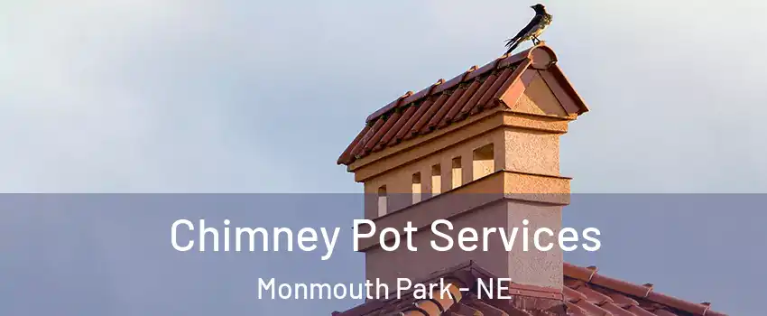 Chimney Pot Services Monmouth Park - NE