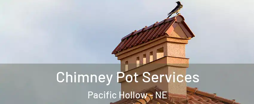 Chimney Pot Services Pacific Hollow - NE