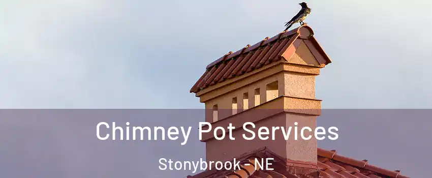 Chimney Pot Services Stonybrook - NE