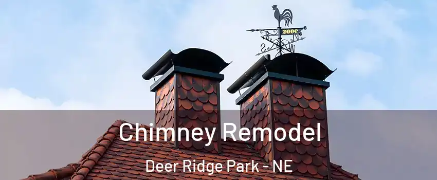 Chimney Remodel Deer Ridge Park - NE