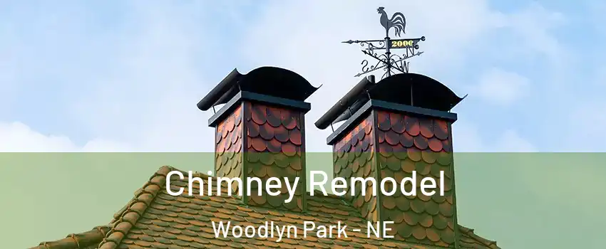 Chimney Remodel Woodlyn Park - NE