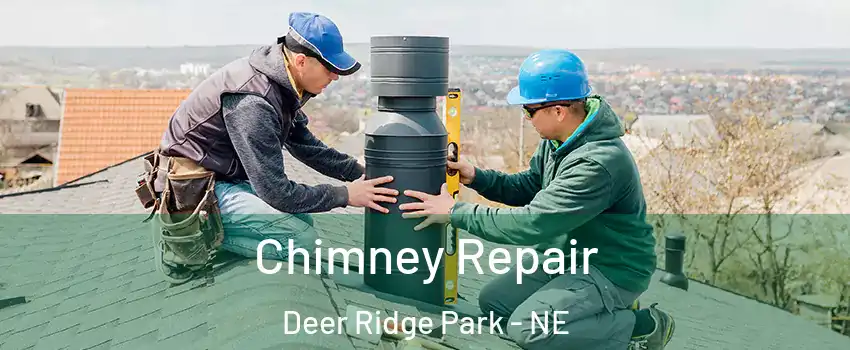 Chimney Repair Deer Ridge Park - NE