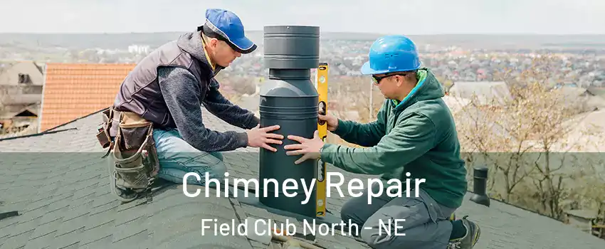 Chimney Repair Field Club North - NE