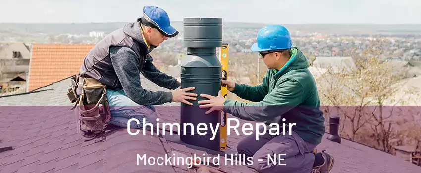 Chimney Repair Mockingbird Hills - NE