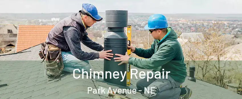 Chimney Repair Park Avenue - NE