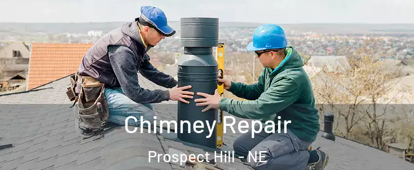 Chimney Repair Prospect Hill - NE