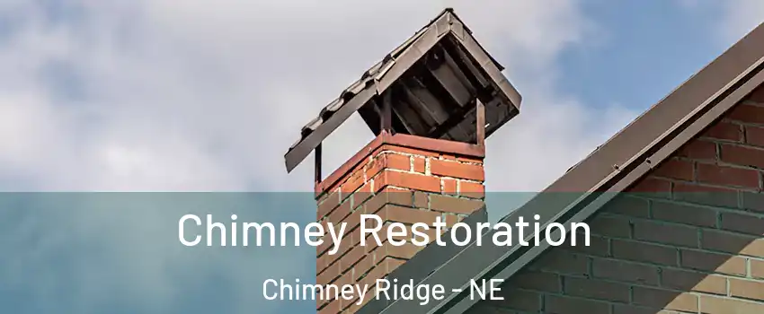 Chimney Restoration Chimney Ridge - NE