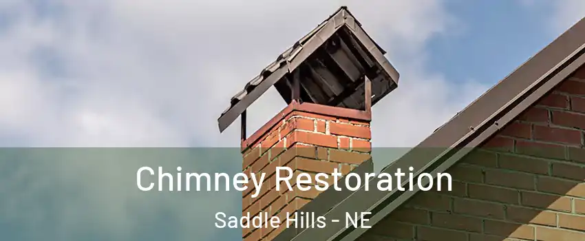 Chimney Restoration Saddle Hills - NE