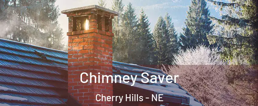 Chimney Saver Cherry Hills - NE