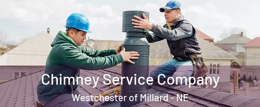 Chimney Service Company Westchester of Millard - NE