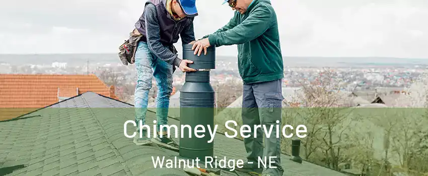 Chimney Service Walnut Ridge - NE