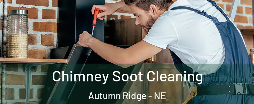 Chimney Soot Cleaning Autumn Ridge - NE