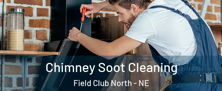 Chimney Soot Cleaning Field Club North - NE