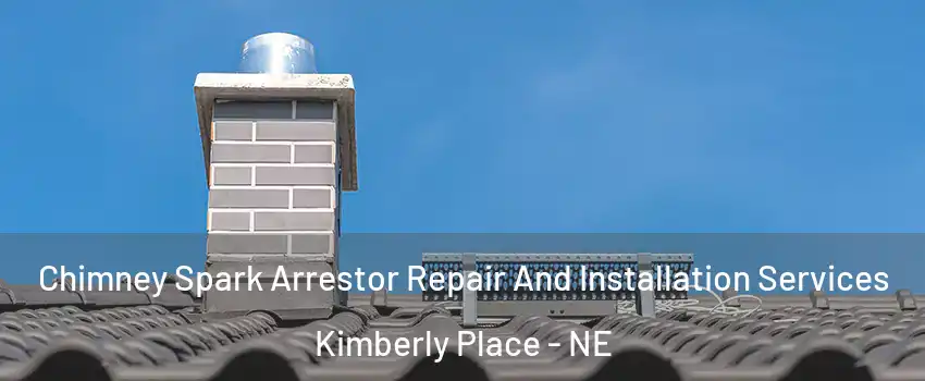 Chimney Spark Arrestor Repair And Installation Services Kimberly Place - NE