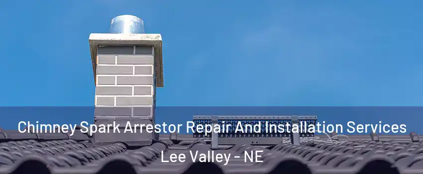 Chimney Spark Arrestor Repair And Installation Services Lee Valley - NE