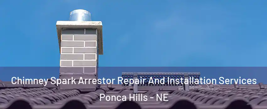 Chimney Spark Arrestor Repair And Installation Services Ponca Hills - NE