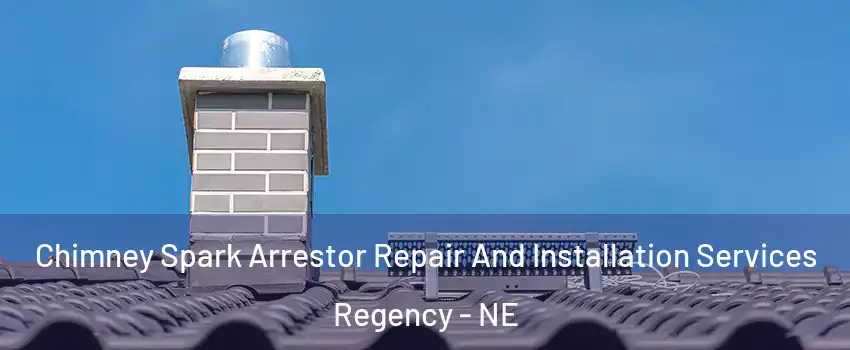 Chimney Spark Arrestor Repair And Installation Services Regency - NE